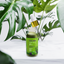 The Drip Gentle Healthy Hair Growth Oil